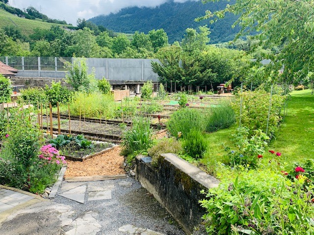 La Médiathèque Valais Saint-Maurice en sortie au Potager Agaunois